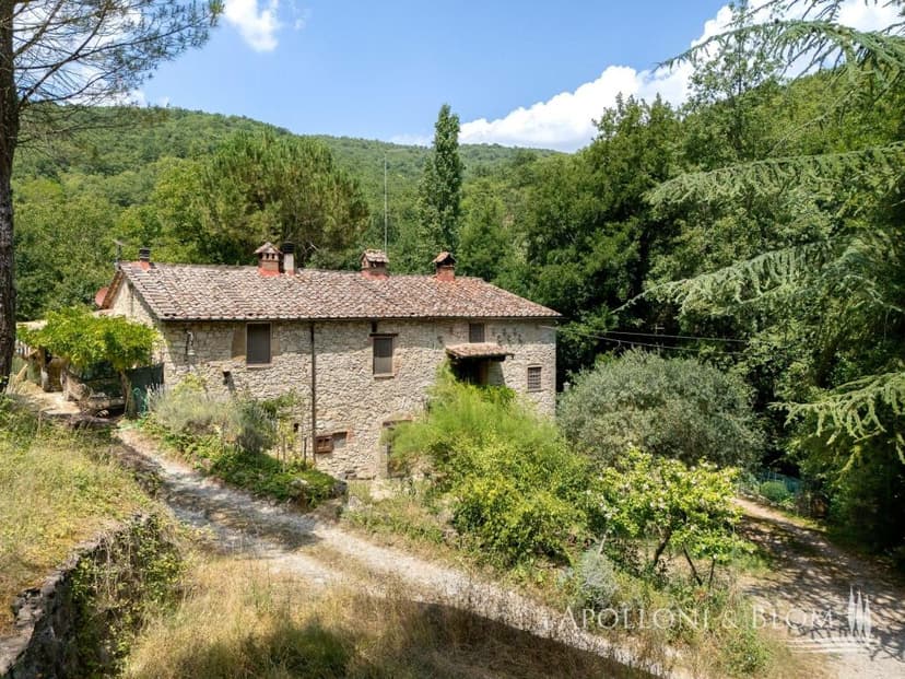 Additional image 3 of Tuscany, Siena, Radda in Chianti, Italy