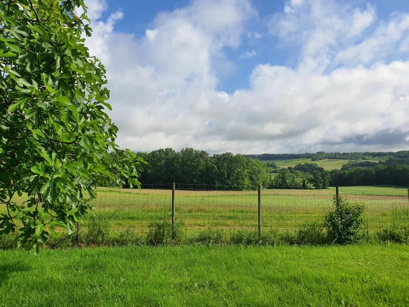 Additional image 2 of Aquitaine, Lot-et-Garonne, Loubès-Bernac, France