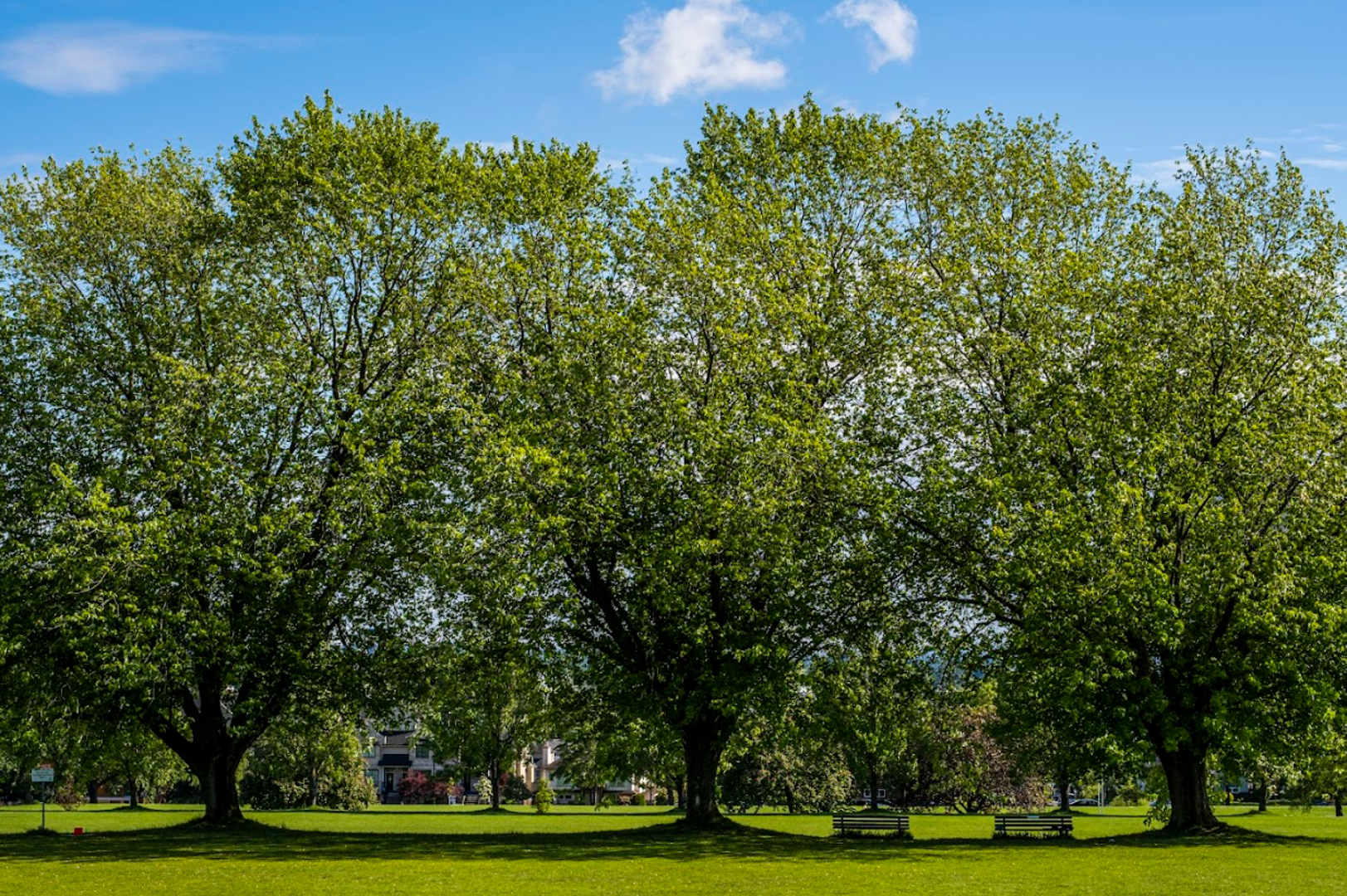 Additional image 9 of Savannah