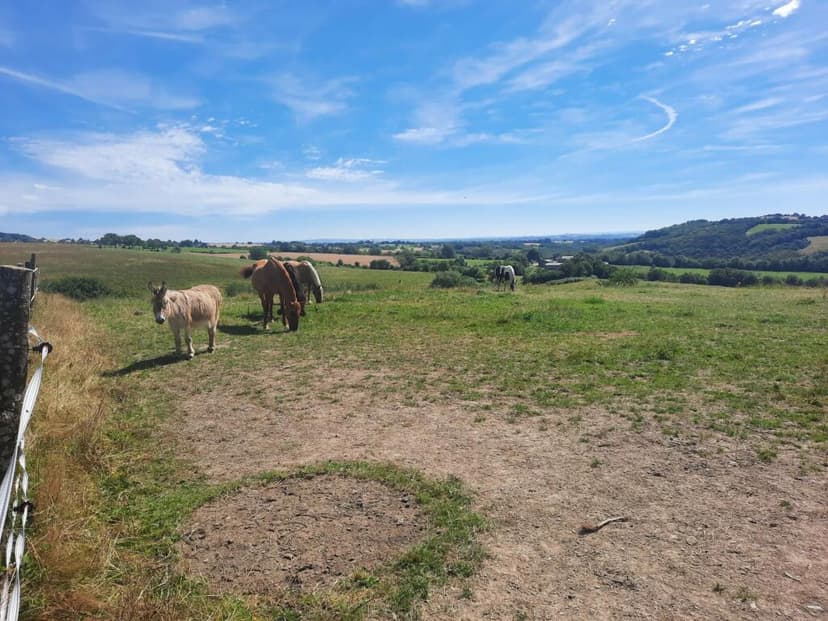 Primary image of Montirat, Midi-Pyrenees, 81190, France