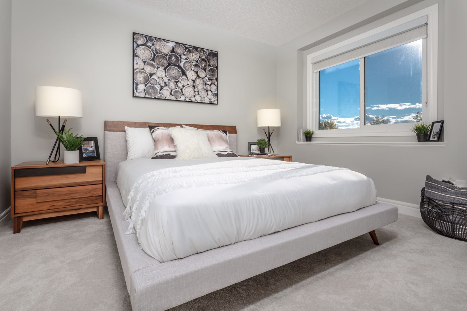 Additional image 11 of Michael's Park