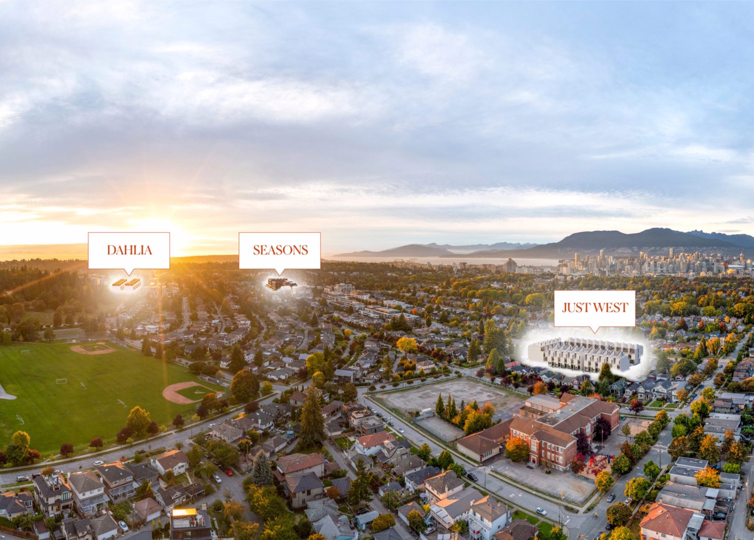 Additional image 4 of Dahlia