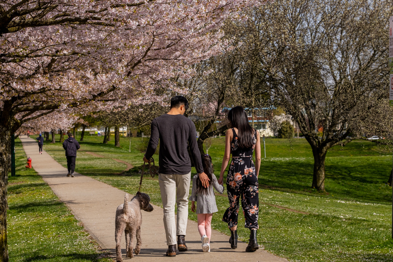 Additional image 12 of Savannah