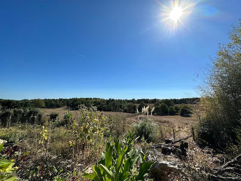 Additional image 2 of St-Martin-de-Coux, Charente-Maritime, Poitou-Charentes, France