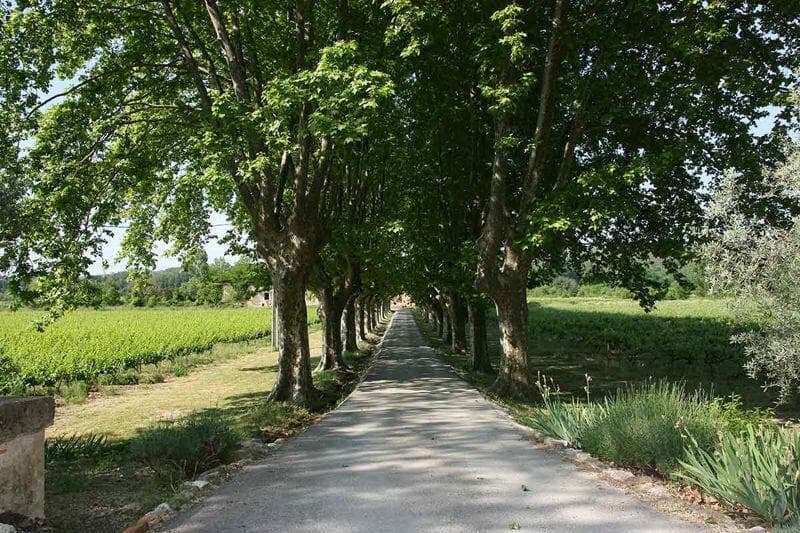 Additional image 2 of 19th Century Castle with Pool and Vineyard, Goudargues, Gard, Occitanie, France