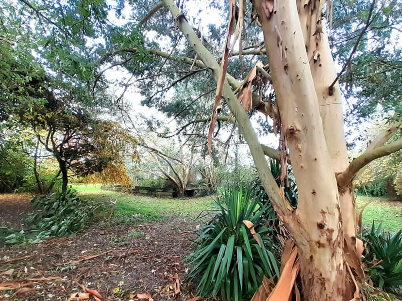 Additional image 3 of Normandy, Calvados, Genneville, France