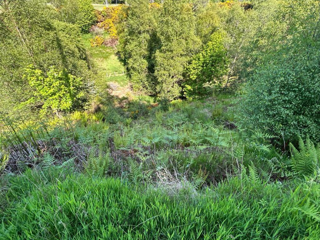 Additional image 25 of The Cotts Glen Of Rothes nr Rothes, Rothes, AB38 7AQ