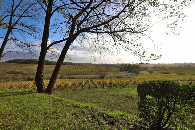 Additional image 2 of Aquitaine, Gironde, Montagne, France