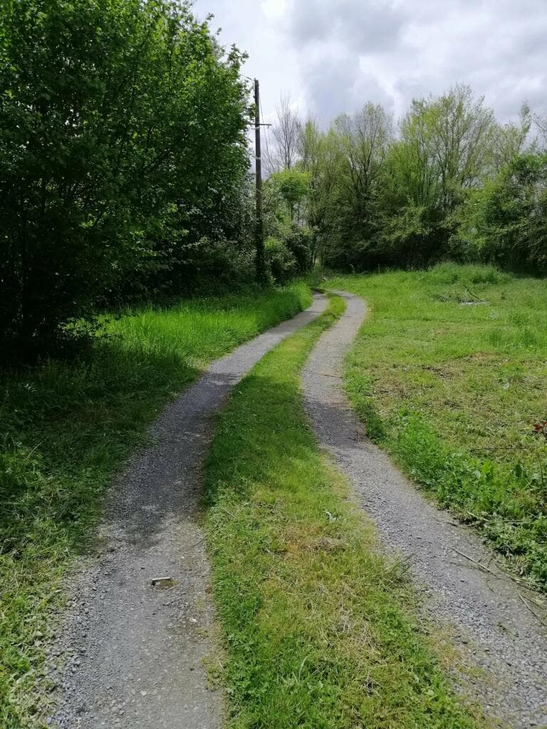Additional image 3 of Beaumarches, Midi-Pyrenees, 32160, France