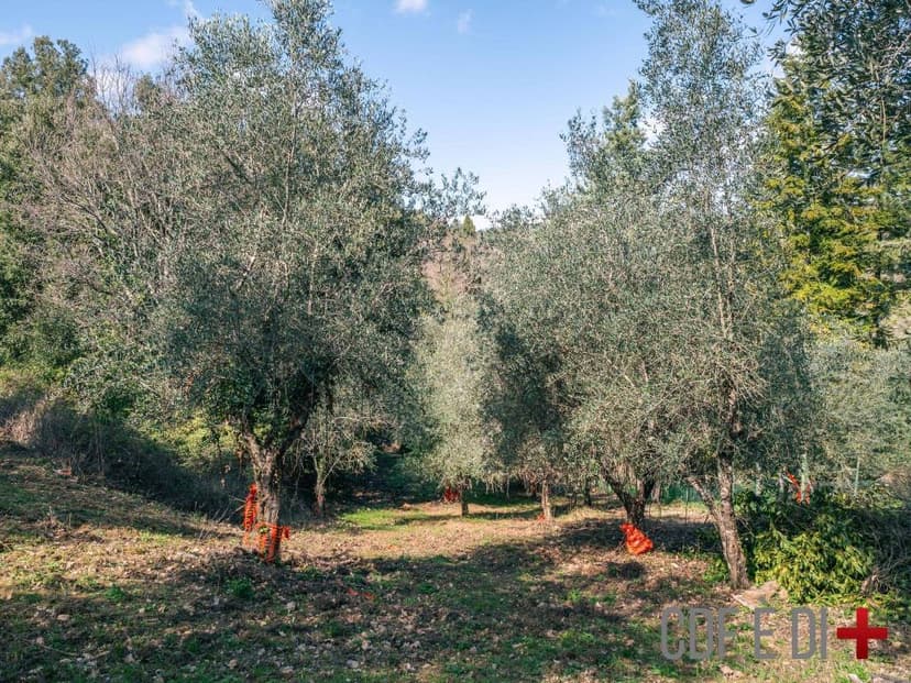 Additional image 3 of Strada Comunale di Tocchi