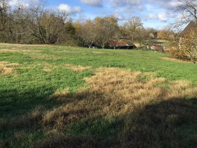 Additional image 2 of Centre, Indre, St-Benoît-du-Sault, France