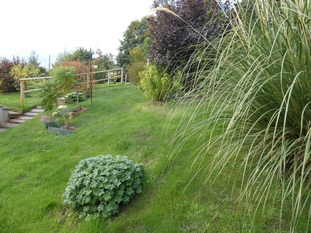 Additional image 40 of ..., Monymusk, AB51