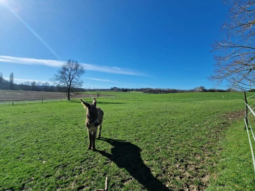 Additional image 2 of Aquitaine, Lot-et-Garonne, Monflanquin, France
