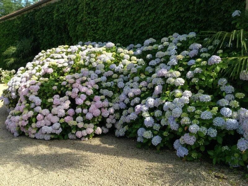 Additional image 2 of Madiran, Midi-Pyrenees, 65700, France