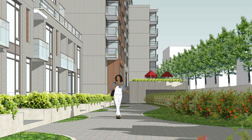 Additional image 16 of 175 Richmond Road Condos