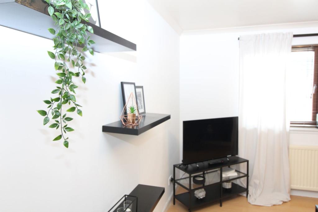 Additional image 13 of Society Lane, Aberdeen, AB24