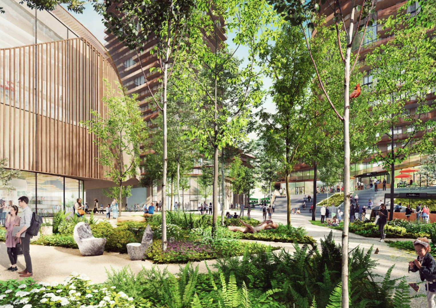 Additional image 6 of Connecting Cooksville