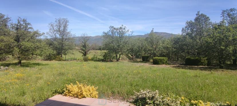Primary image of Languedoc-Roussillon, Pyrénées-Orientales, Prades, France