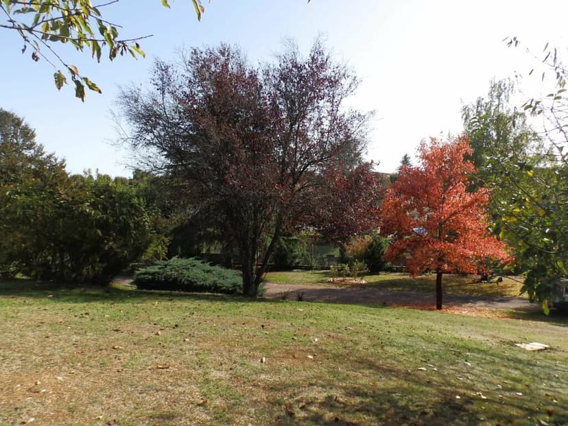 Additional image 2 of Poitou-Charentes, Charente, Ruffec, France