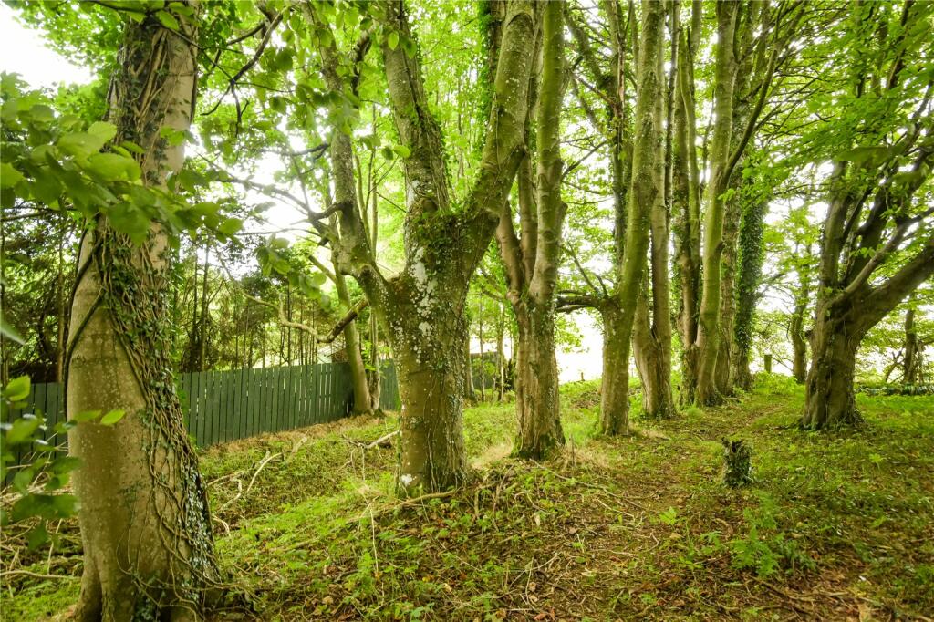Additional image 6 of Copper Beeches, Mintlaw, Peterhead, Aberdeenshire, AB42