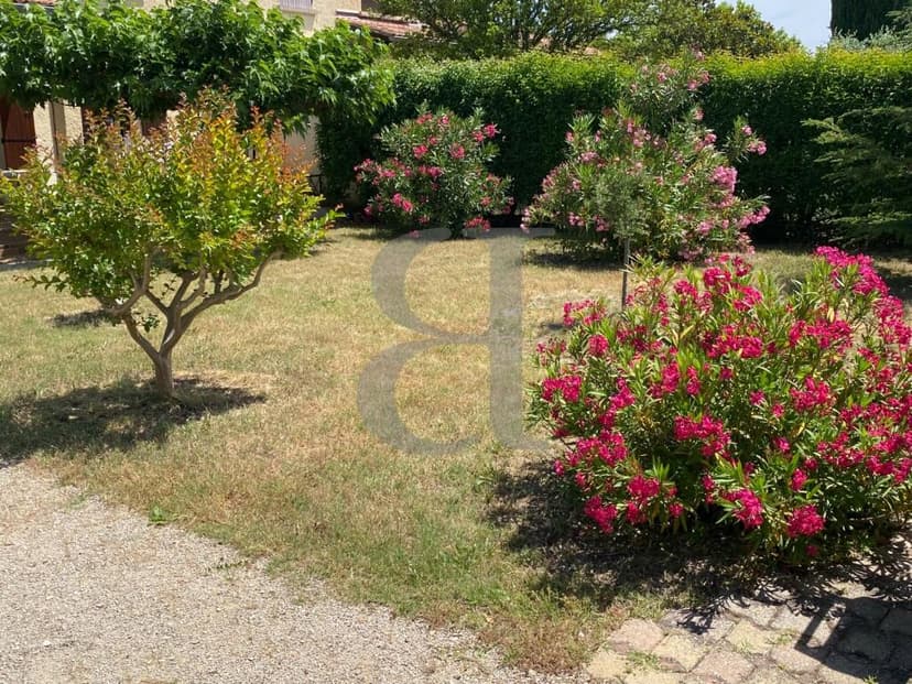 Additional image 2 of Carpentras, Provence-Alpes-Cote d'Azur, 84, France