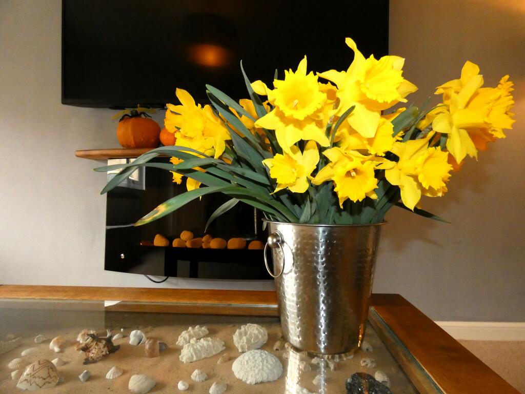 Additional image 9 of Tullibardine Close, Alford, AB33