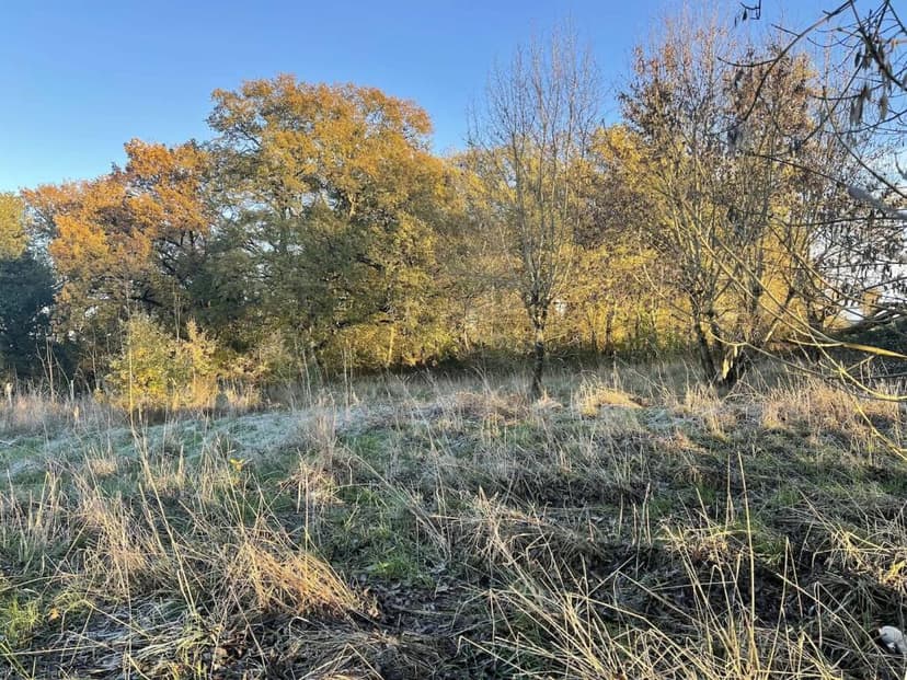 Additional image 3 of Midi-Pyrénées, Gers, Pergain-Taillac, France