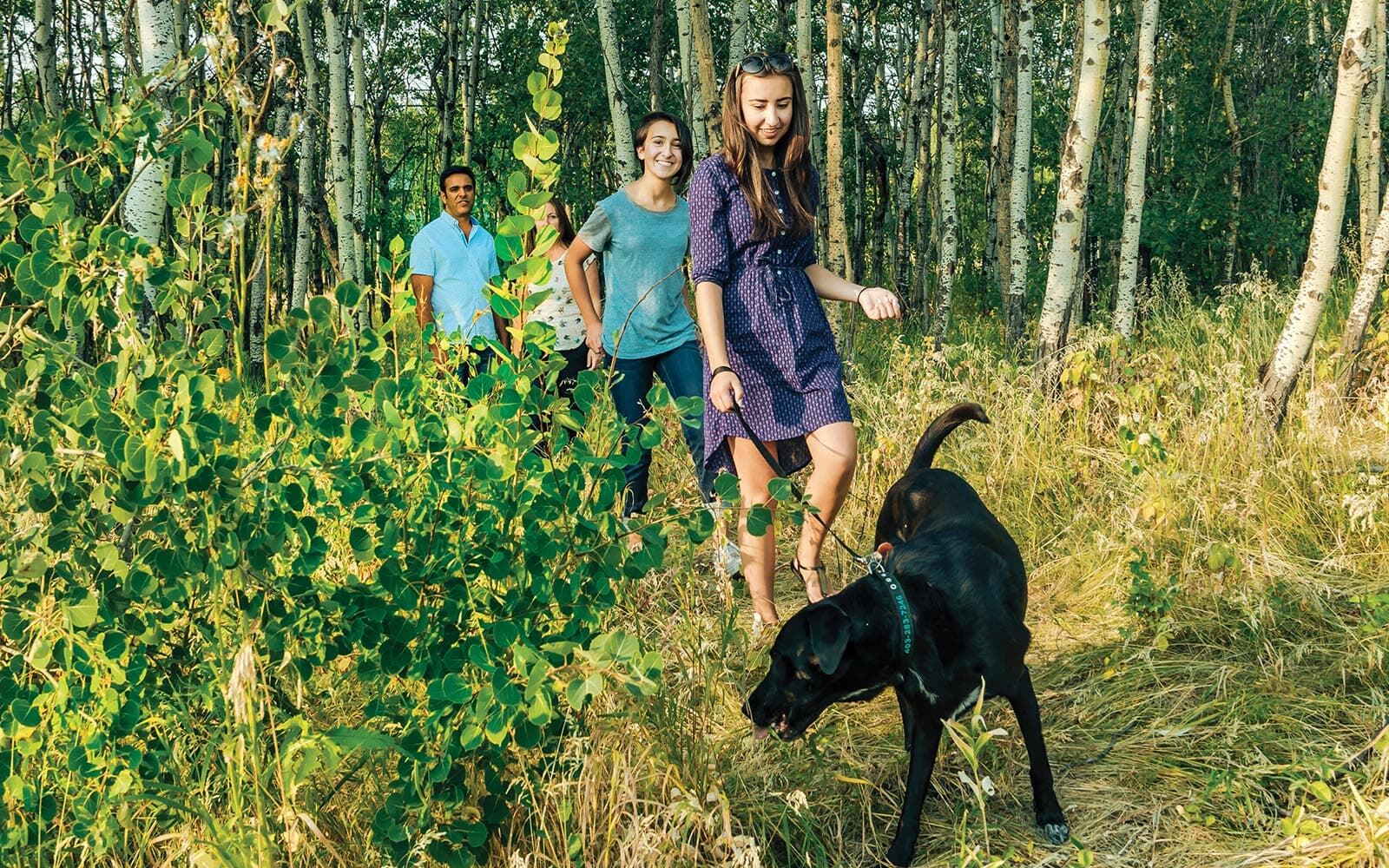 Additional image 8 of Single Family Collection at The Rise at West Grove Estates