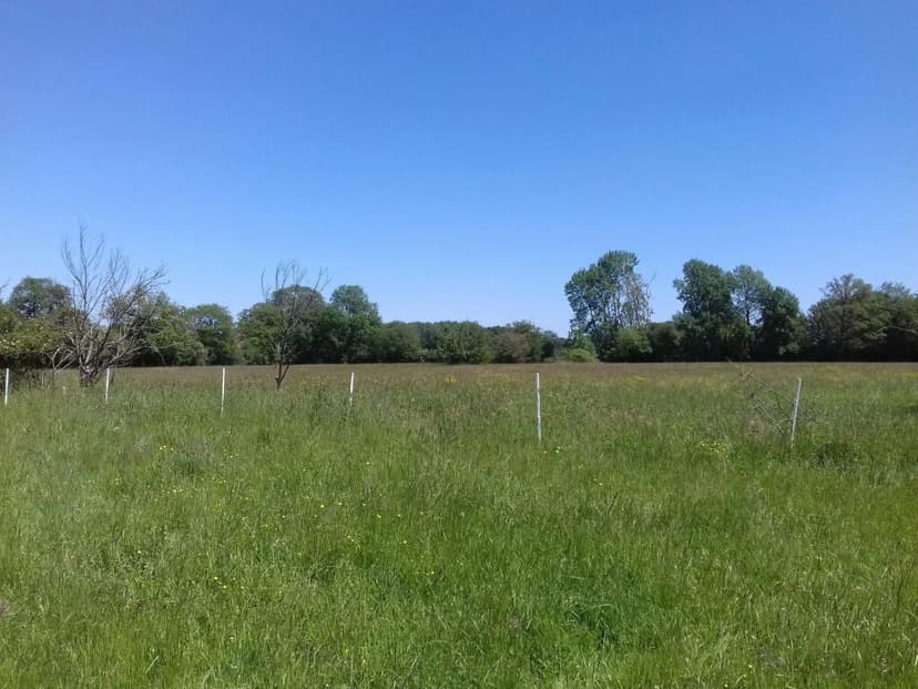 Additional image 2 of Limousin, Haute-Vienne, Le Dorat, France