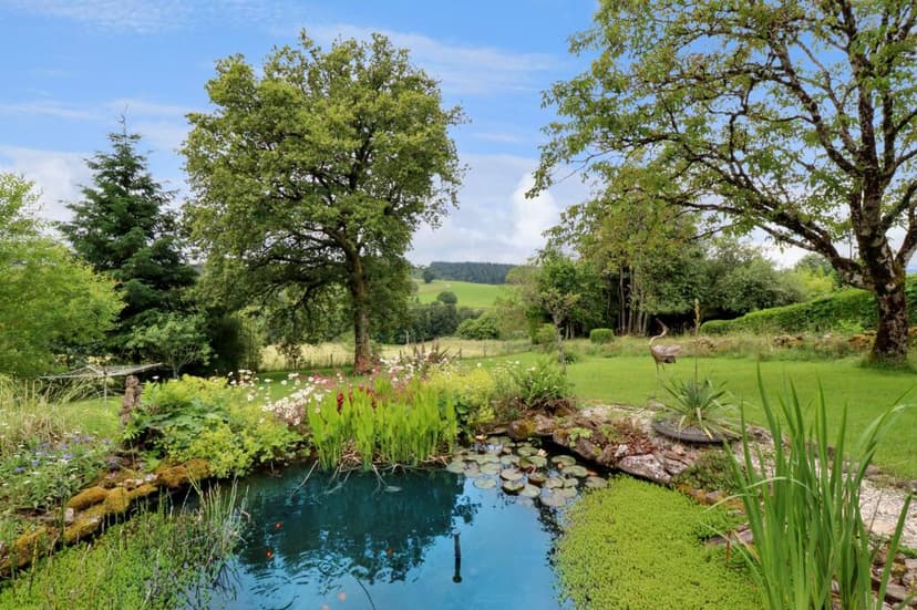 Primary image of Limousin, Corrèze, Lestards, France