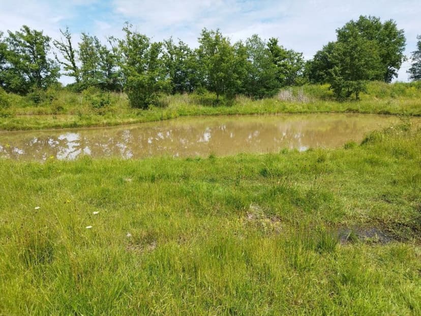 Primary image of Midi-Pyrenees, Tarn-et-Garonne, Montauban, France