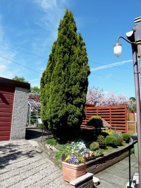 Additional image 17 of Mckenzie Drive, Alexandria, Dunbartonshire, G83