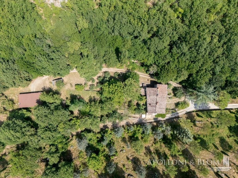 Additional image 2 of Tuscany, Siena, Radda in Chianti, Italy
