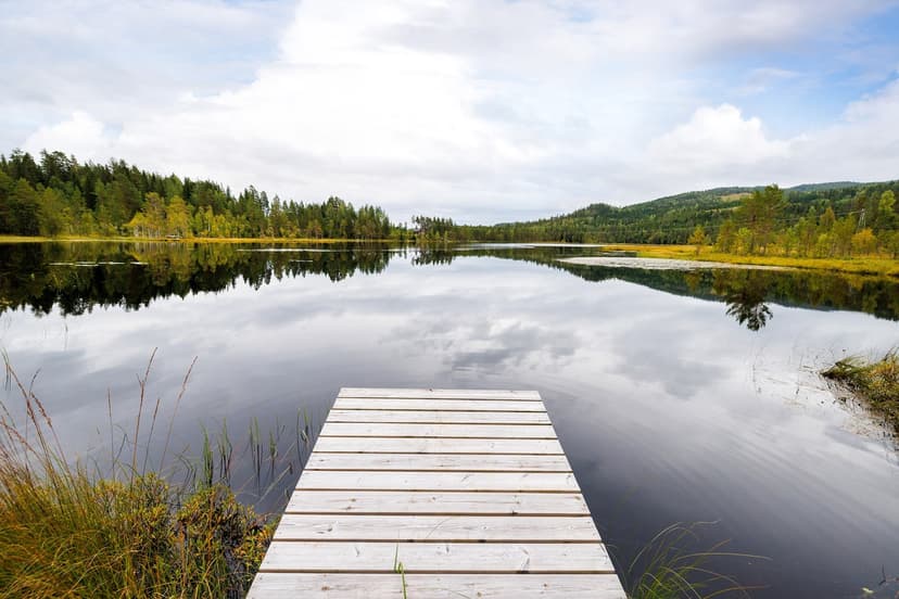 Additional image 2 of Finnerudskogen 687, 3535 Krøderen
