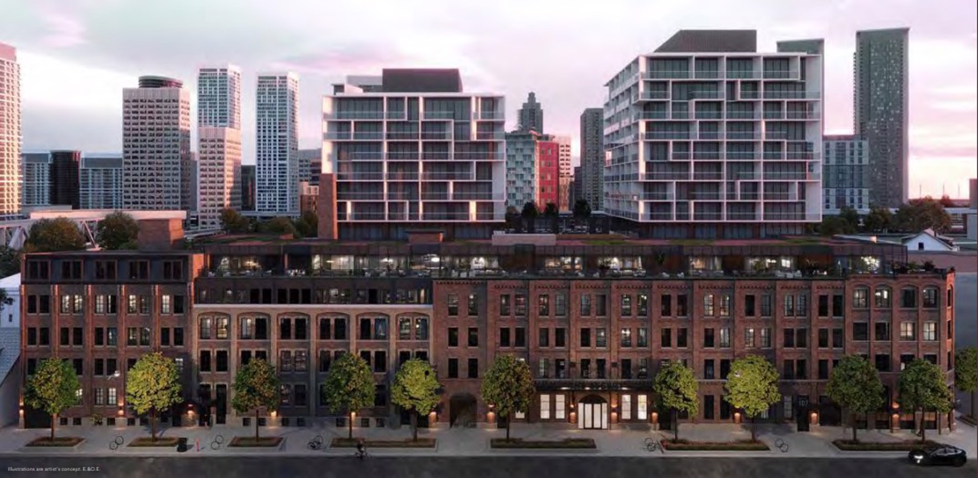 Additional image 2 of The Essery