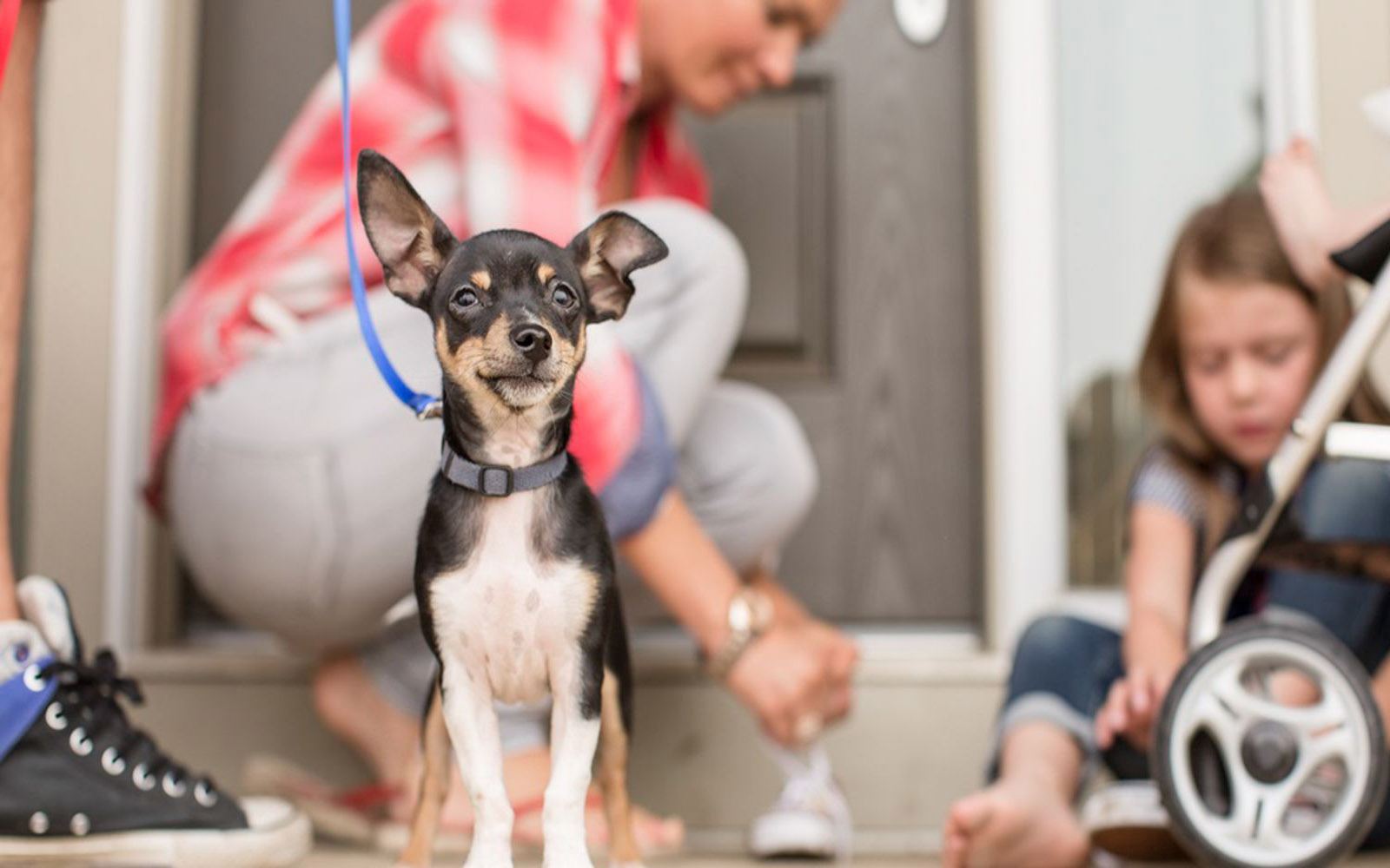 Additional image 13 of Front Garage Conventional at Edgemont