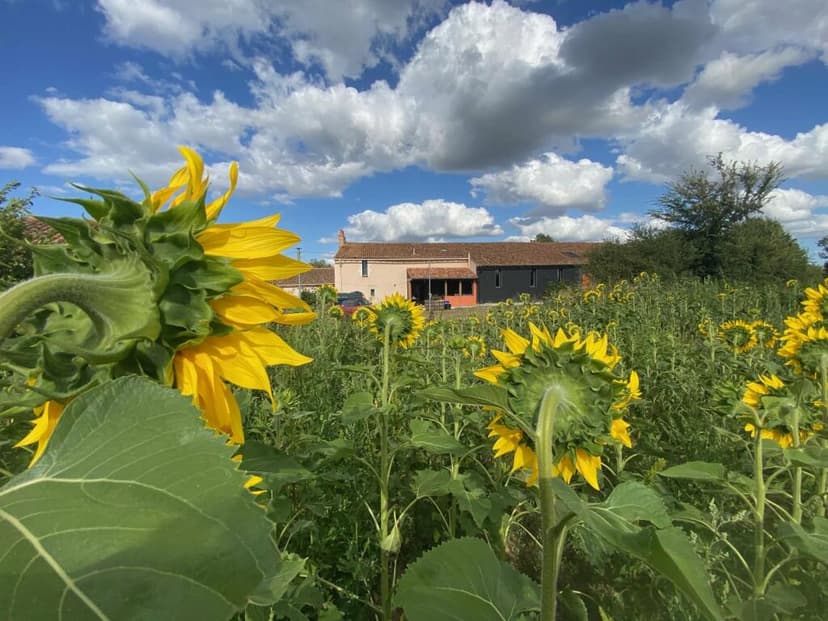 Additional image 3 of Poitou-Charentes, Deux-Sèvres, Cersay, France