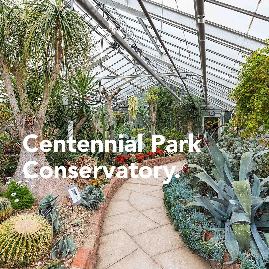 Additional image 5 of Evermore