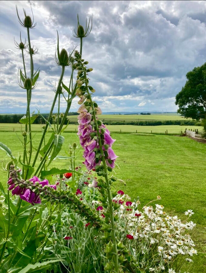 Additional image 38 of Fisherie, Turriff, AB53