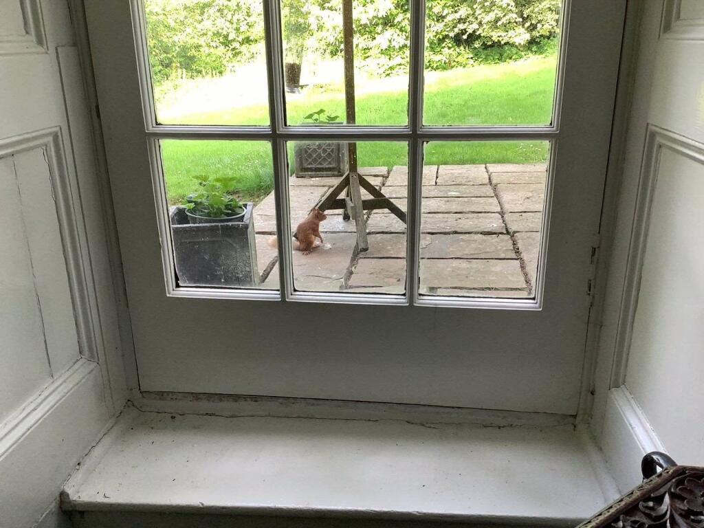 Additional image 31 of Kirkstane, House, Kirkton of Skene Westhill, Aberdeenshire AB32 6LX