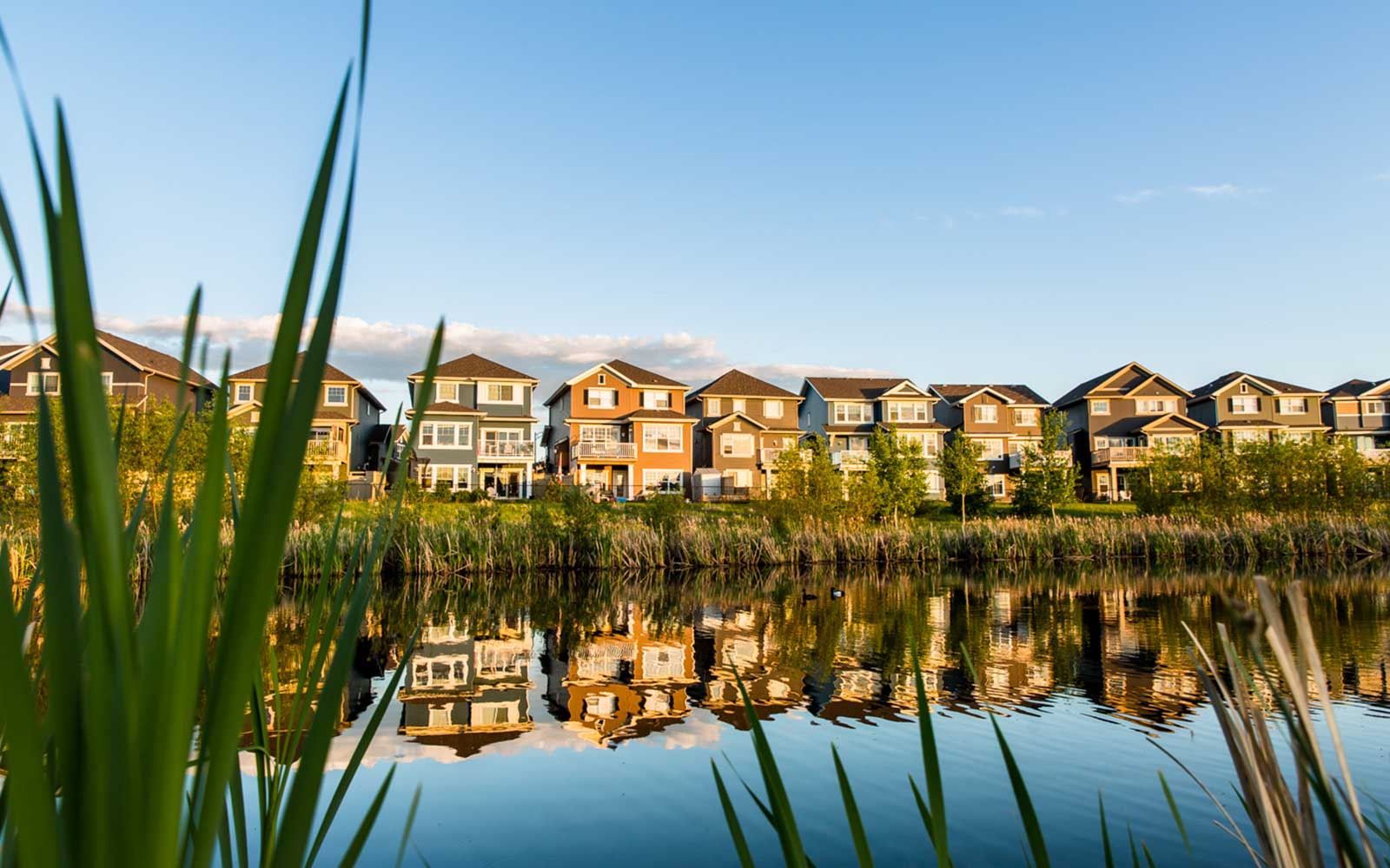 Additional image 8 of Front Garage Single Side Yard Collection at The Orchards