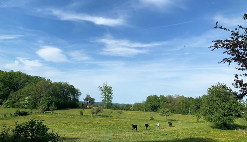 Primary image of Limousin, Haute-Vienne, Champsac, France