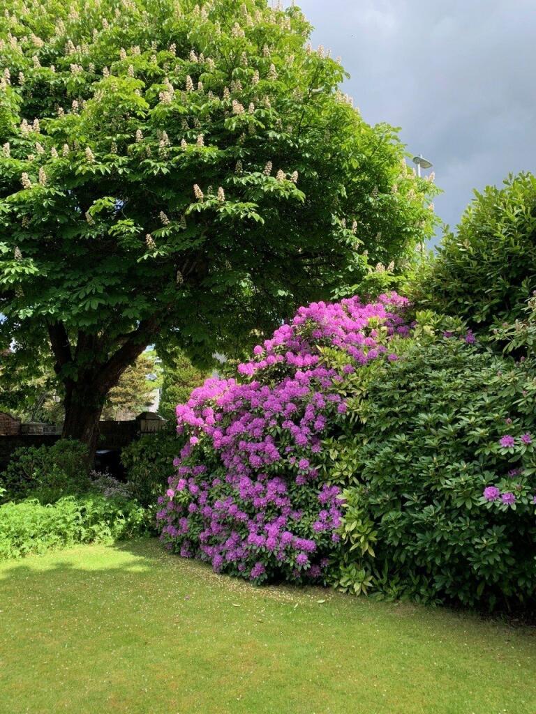 Additional image 19 of Polmuir Road, Aberdeen, Aberdeenshire
