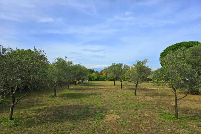 Additional image 2 of Laroque-des-Albères, Pyrénées-Orientales, Languedoc-Roussillon, France