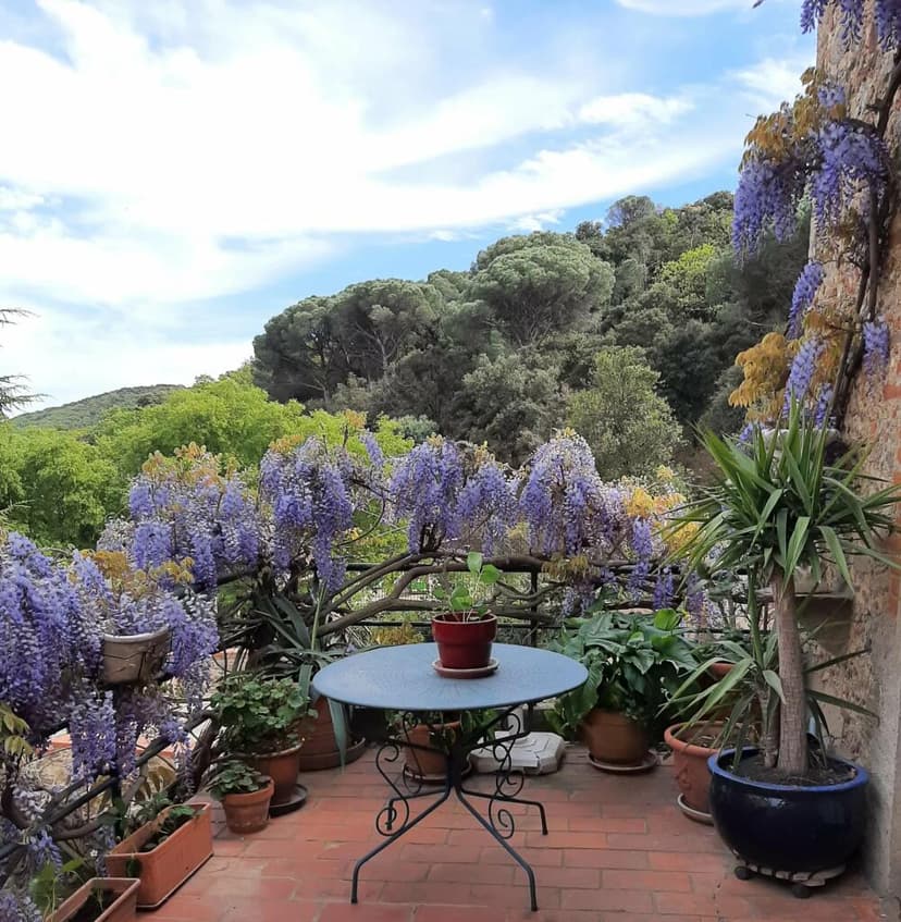 Additional image 2 of Corbere, Languedoc-Roussillon, 66130, France