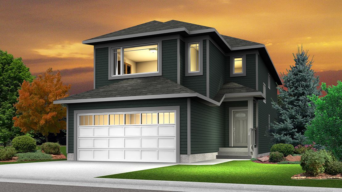 Additional image 2 of Aster