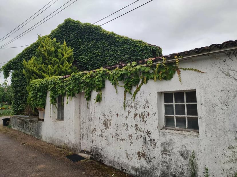 Additional image 2 of Aquitaine, Dordogne, Busserolles, France