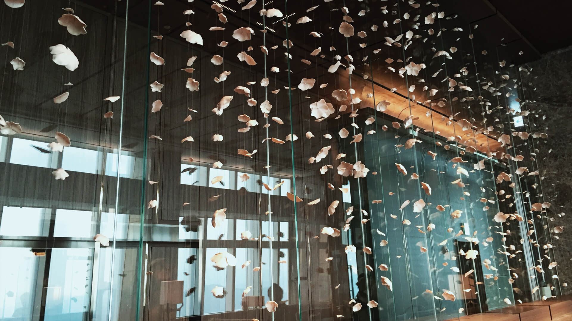 Additional image 10 of Solstice Montréal