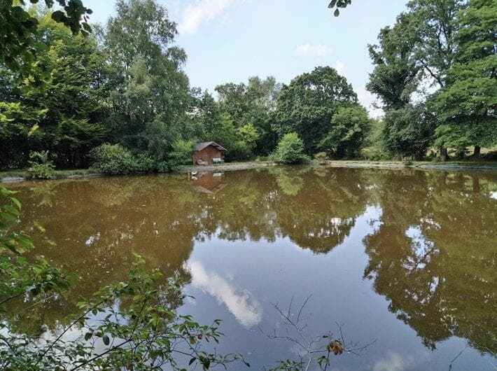 Additional image 2 of Saint-Clement-Rancoudray, Manche, 50140, France