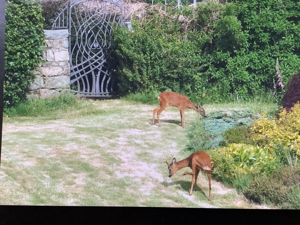 Additional image 5 of Kirkstane, House, Kirkton of Skene Westhill, Aberdeenshire AB32 6LX